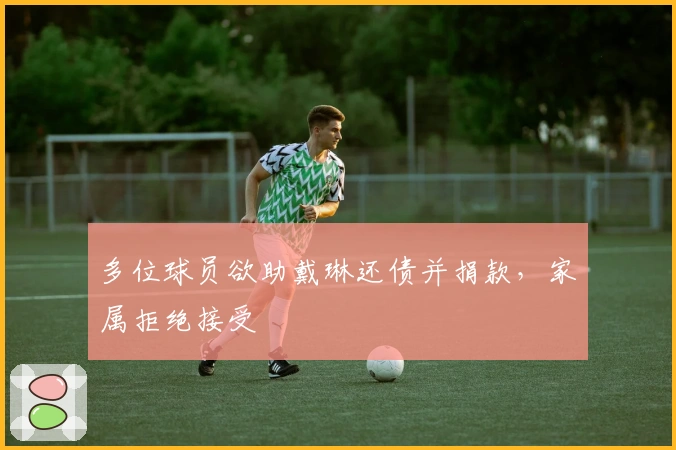 多位球员欲助戴琳还债并捐款，家属拒绝接受