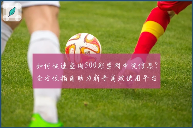 如何快速查询500彩票网中奖信息？全方位指南助力新手高效使用平台