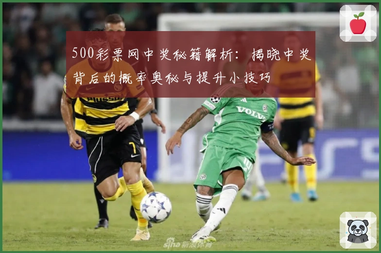 500彩票网中奖秘籍解析:揭晓中奖背后的概率奥秘与提升小技巧