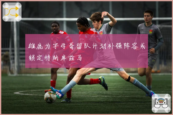 雄鹿为字母哥留队计划补强阵容或锁定特纳库兹马