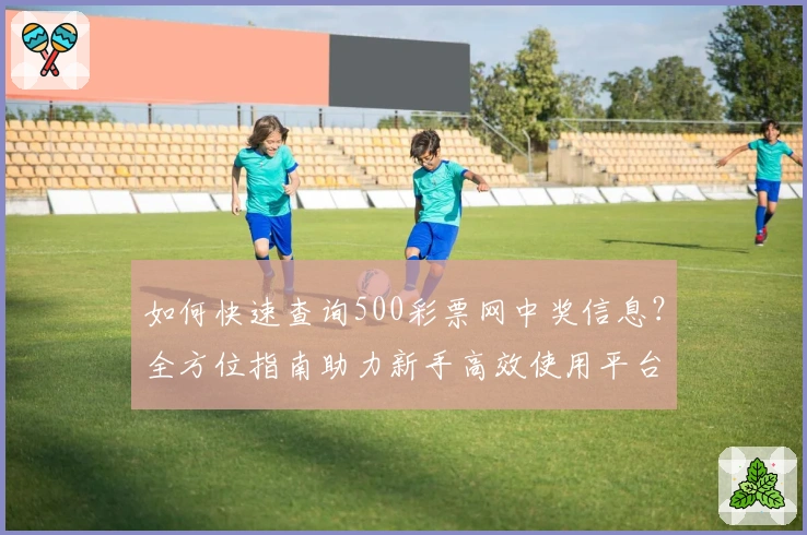 如何快速查询500彩票网中奖信息？全方位指南助力新手高效使用平台